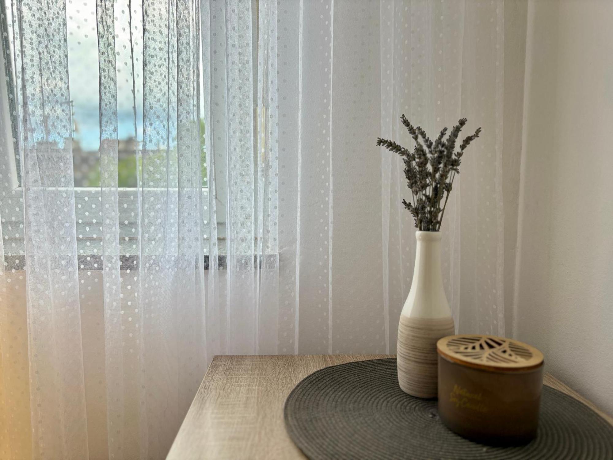 Apartment "Gabrijela" プーラ エクステリア 写真